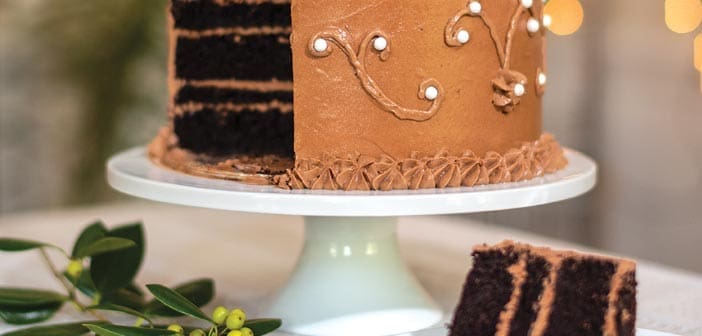 Double Chocolate Cake