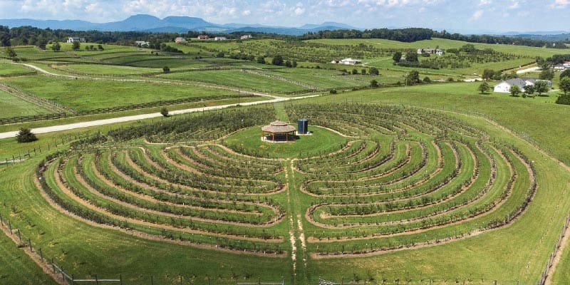 Labyrinth at Halcyon Days Cider Company