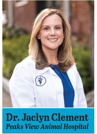 Dr. Jaclyn Clement