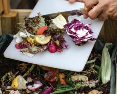 composting