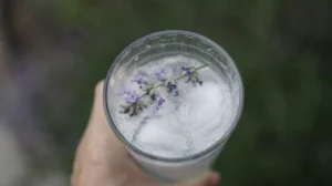 Lavendar spritz cgreen prophet unsplash
