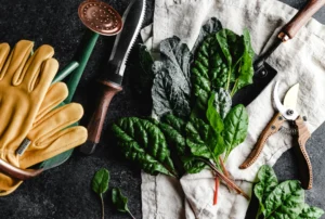 Garden tools (c)leigh skomal unsplash