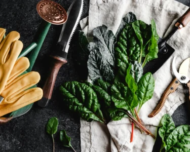 Garden tools (c)leigh skomal unsplash