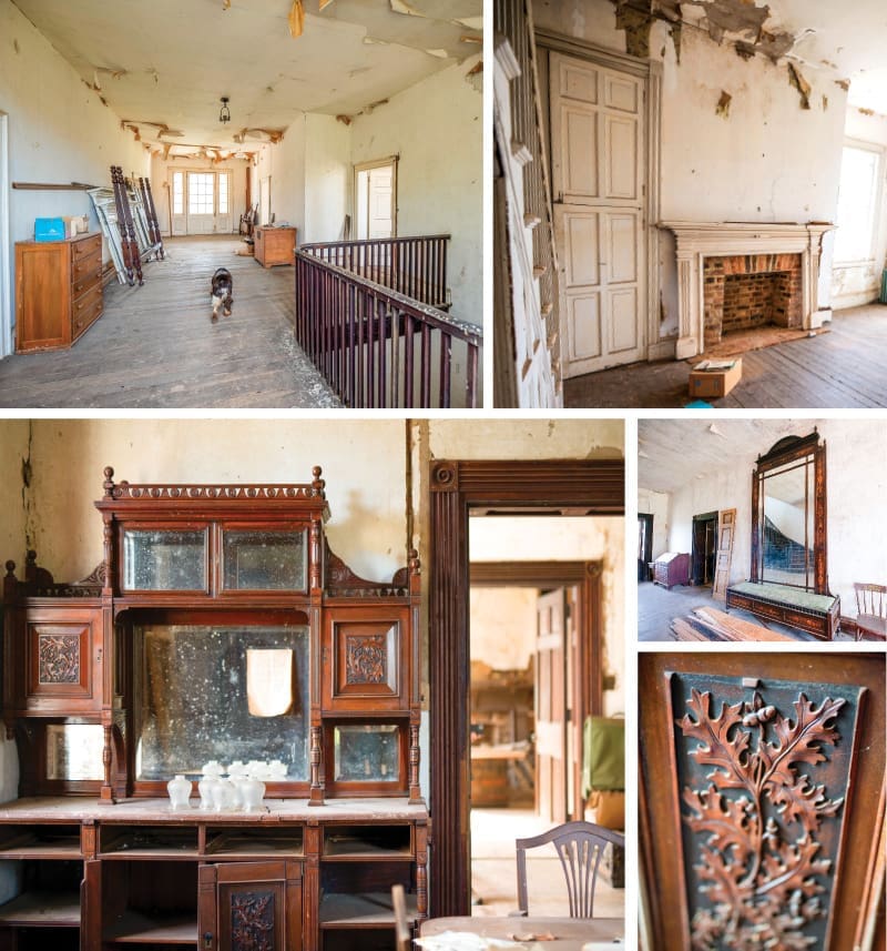 red hill renovation